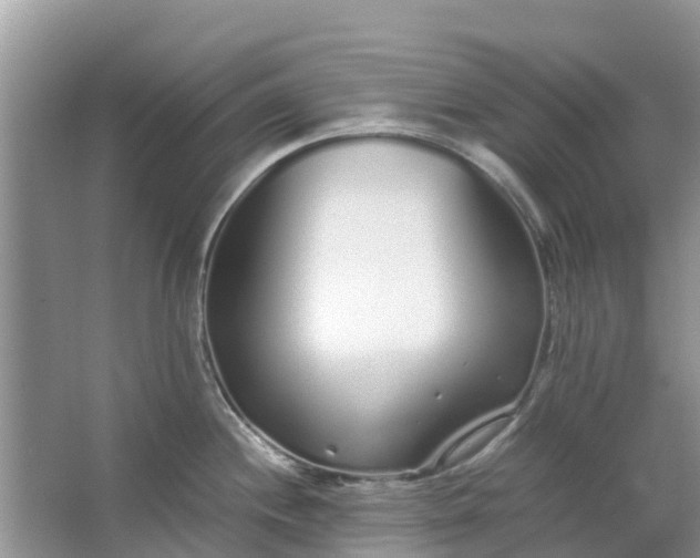 X0000067001244200604072141