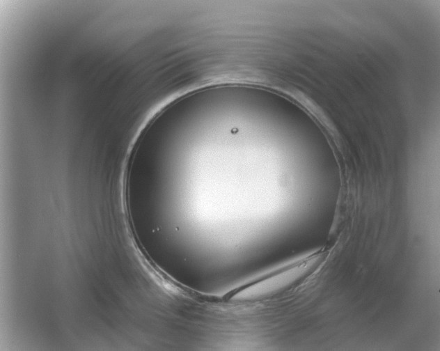 X0000067001246200604072141