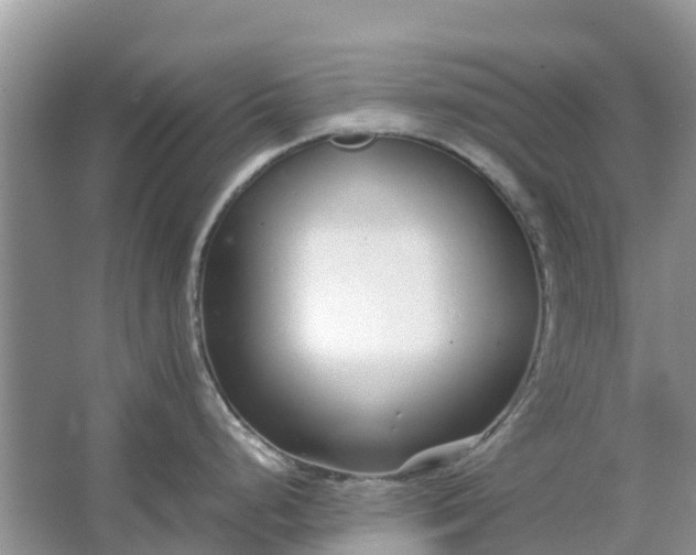 X0000067001248200604072141