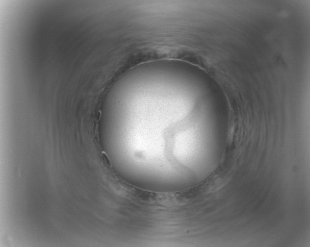 X0000067001249200604072140