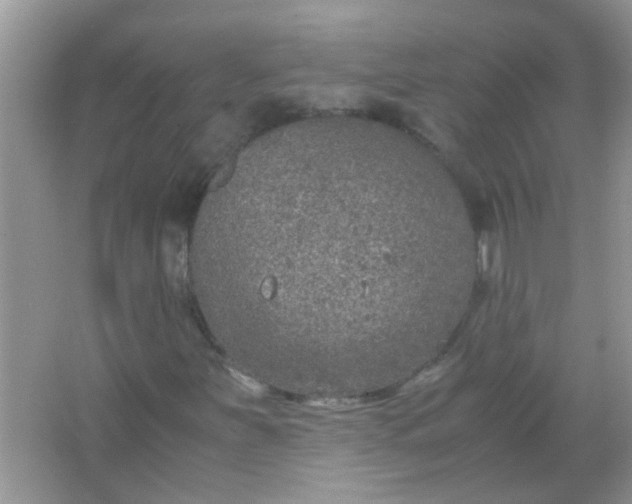 X0000067001251200604072140