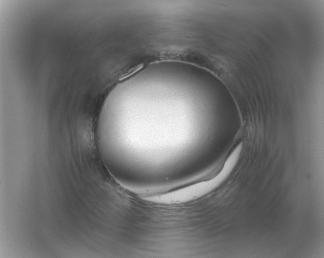 X0000067001252200604072140