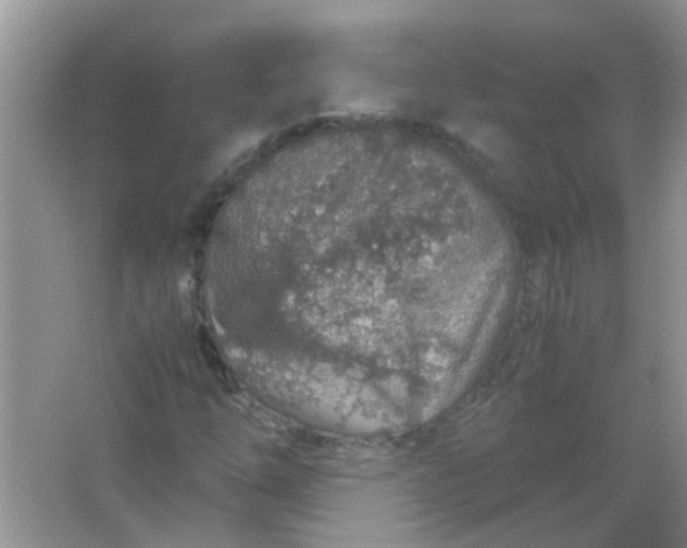 X0000067001254200604072140