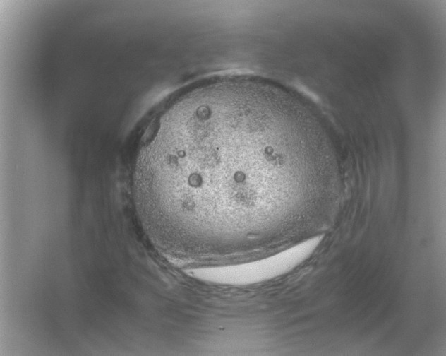 X0000067001255200604072140