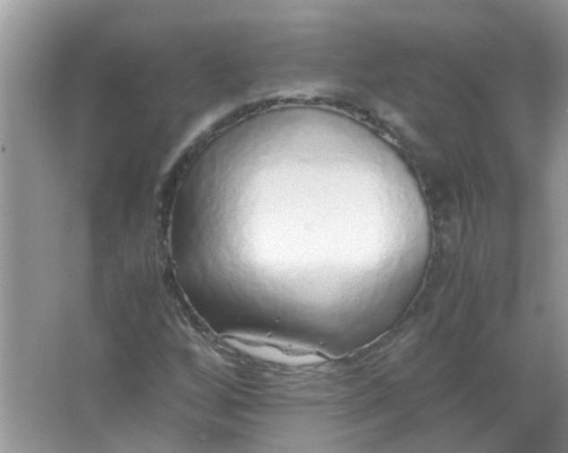 X0000067001256200604072140