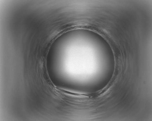 X0000067001257200604072140