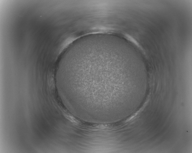 X0000067001259200604072140