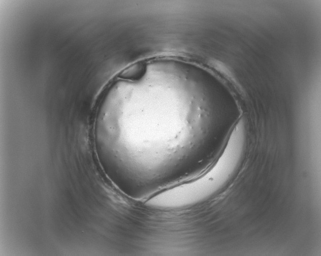 X0000067001260200604072140