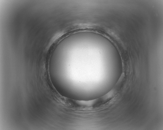 X0000067001261200604072140