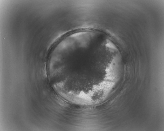 X0000067001262200604072140