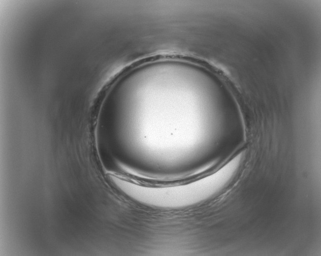 X0000067001263200604072140