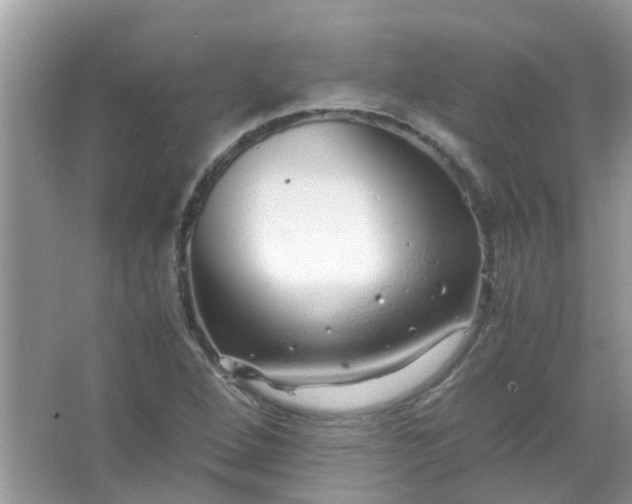 X0000067001264200604072140