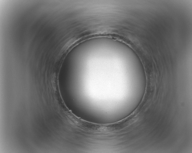 X0000067001265200604072140