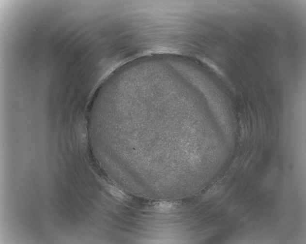 X0000067001266200604072140