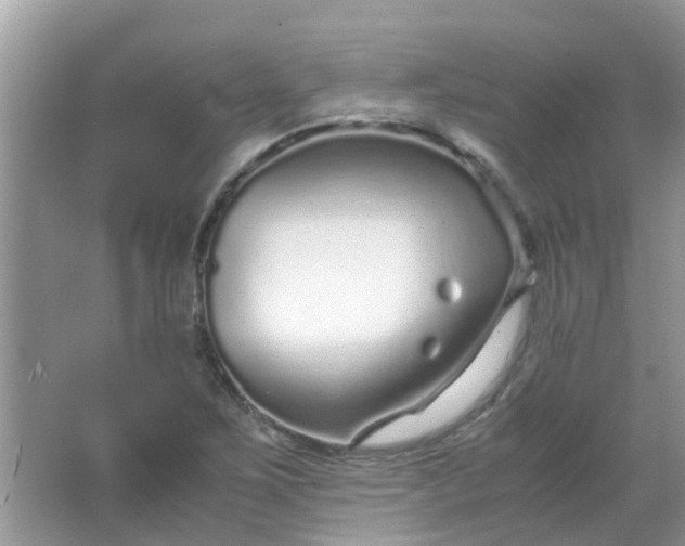 X0000067001267200604072139