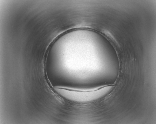 X0000067001268200604072139