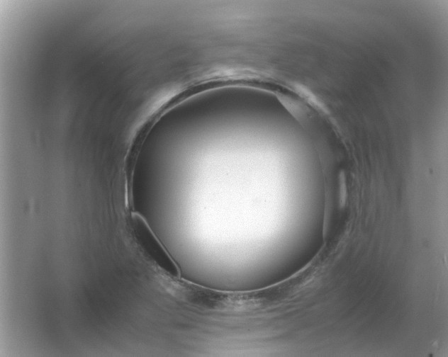 X0000067001269200604072139