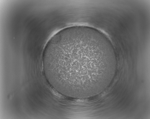 X0000067001271200604072139