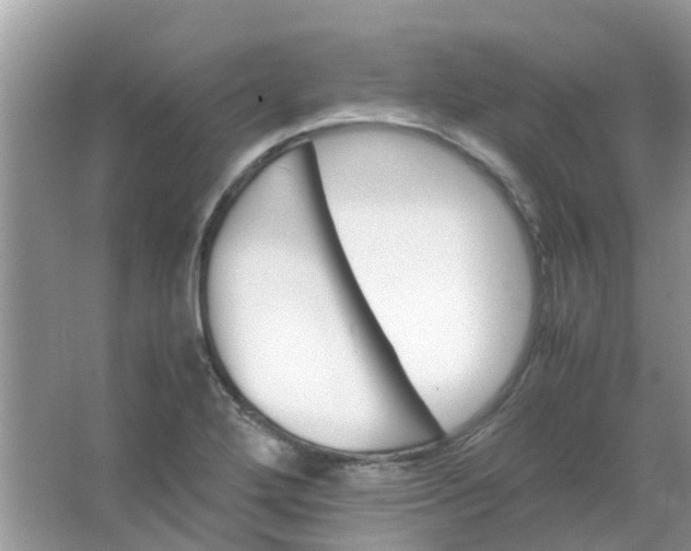 X0000067001272200604072139