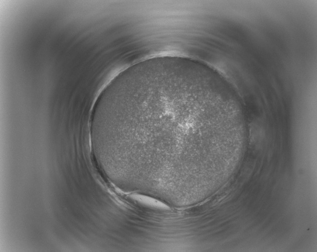 X0000067001274200604072139