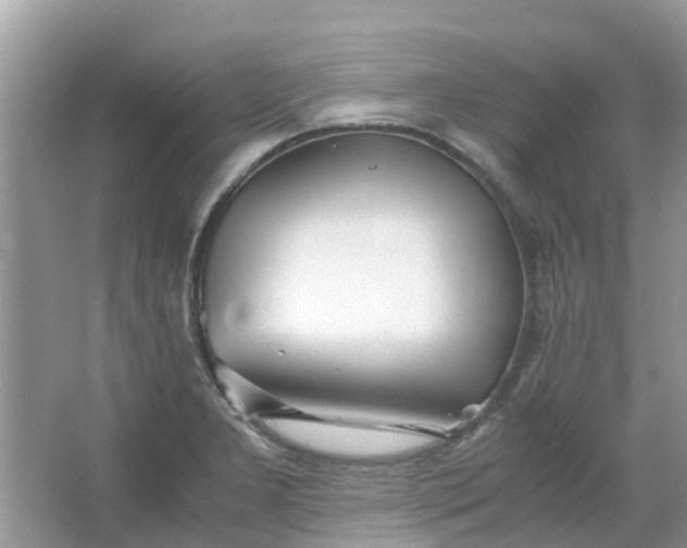 X0000067001277200604072139