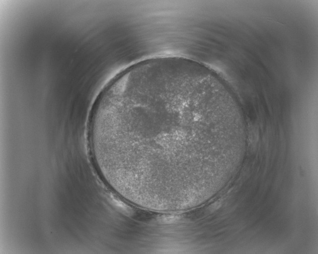 X0000067001278200604072139