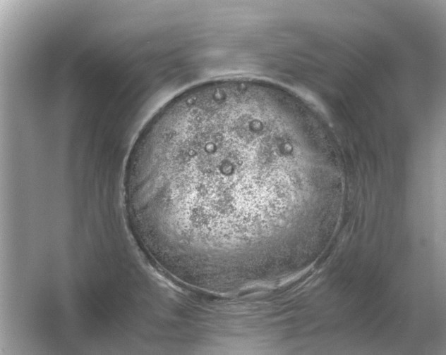 X0000067001279200604072139