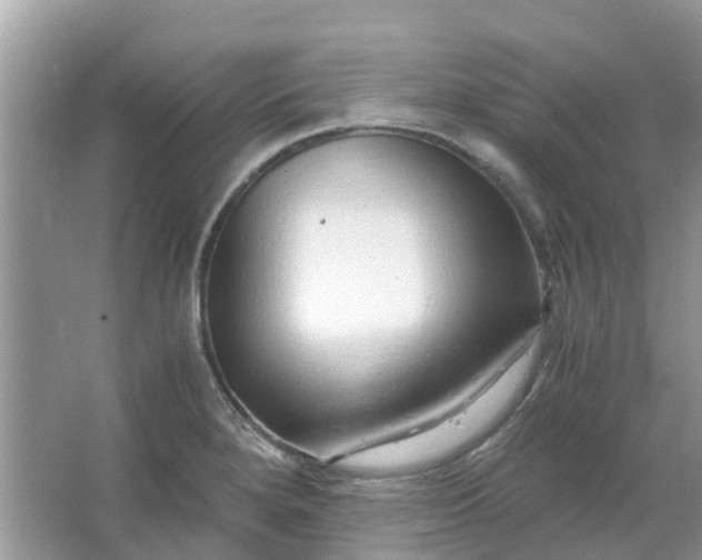 X0000067001280200604072139