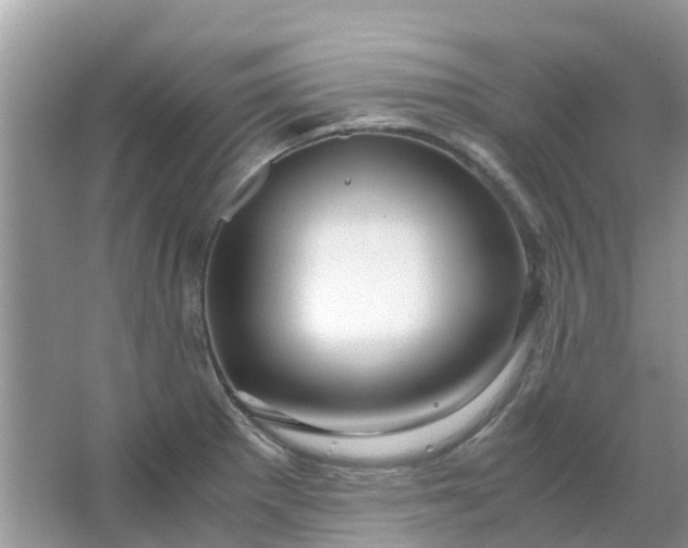 X0000067001281200604072139