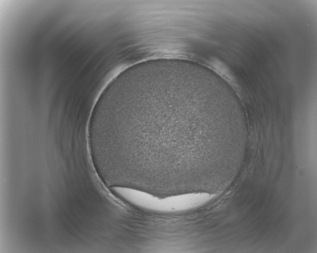 X0000067001283200604072139