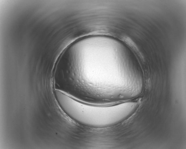 X0000067001284200604072139