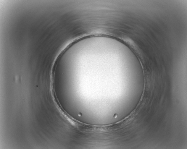 X0000067001286200604072139