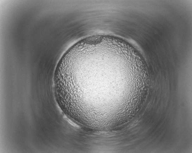 X0000067001287200604072139