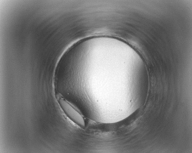 X0000067001288200604072139