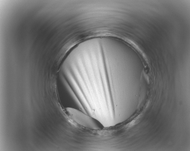 X0000067001289200604072139