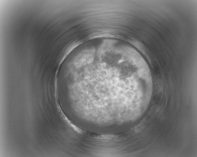 X0000067001290200604072139