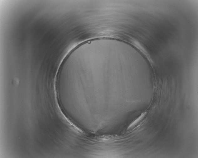 X0000067001291200604072139