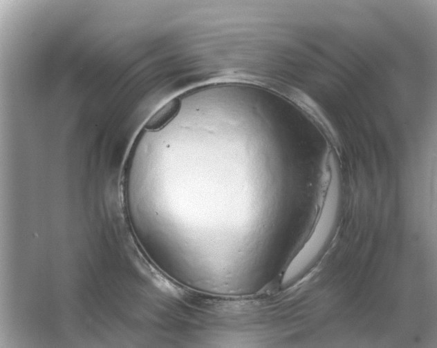 X0000067001292200604072139