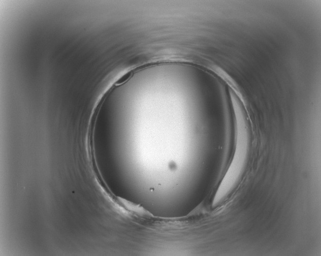 X0000067001293200604072139