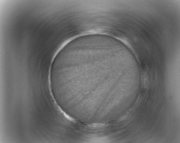 X0000067001294200604072139