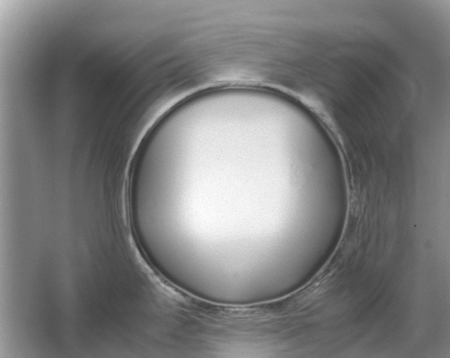 X0000067001295200604072139