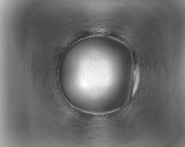 X0000067001297200604072138