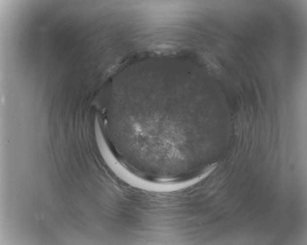 X0000067001298200604072138