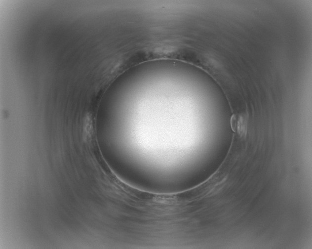 X0000067001299200604072138