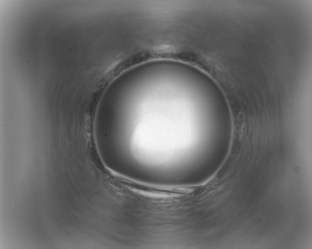 X0000067001301200604072138