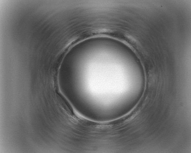 X0000067001305200604072138