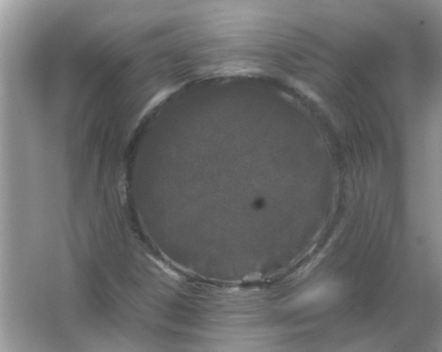 X0000067001306200604072138