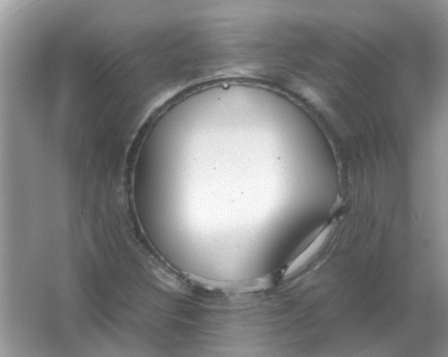 X0000067001308200604072138