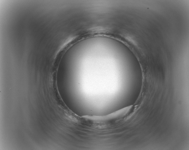 X0000067001309200604072138