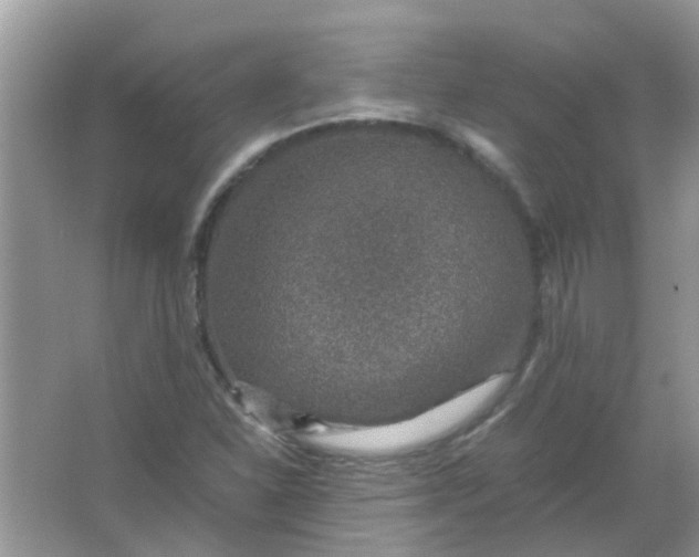 X0000067001310200604072138